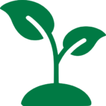sprout_icon